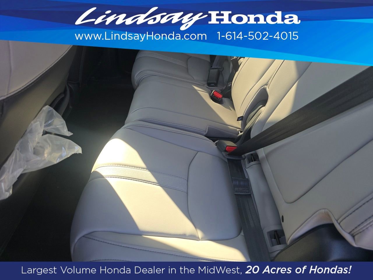 New 2025 Honda Pilot EX-L image 3