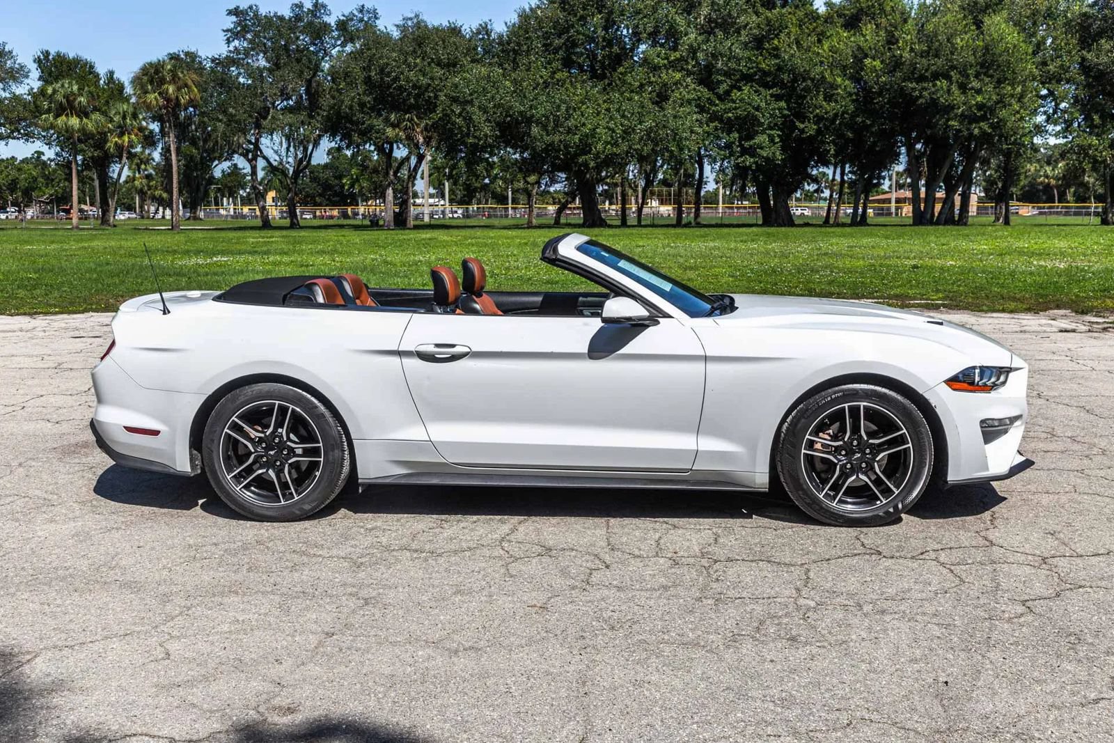 Used 2018 Ford Mustang Premium RWD image 13