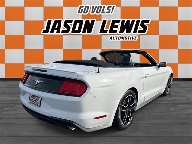 Used 2023 Ford Mustang Premium w/ Equipment Group 201A image 5