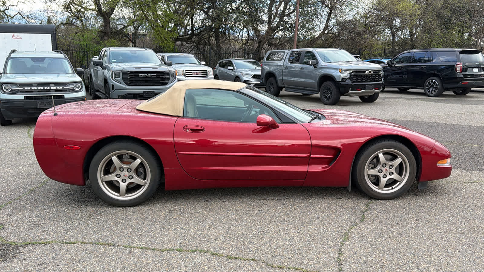 Used 1999 Chevrolet Corvette Convertible w/ Memory Pkg image 4