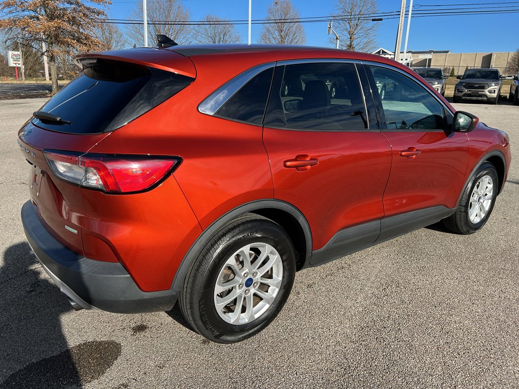 Used 2020 Ford Escape SE image 7