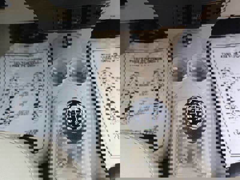 Used 2004 Volkswagen Beetle GLS image 15