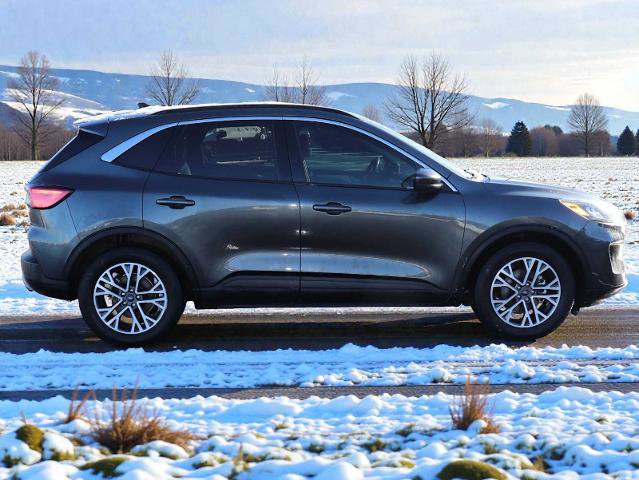 Certified 2020 Ford Escape SEL image 7