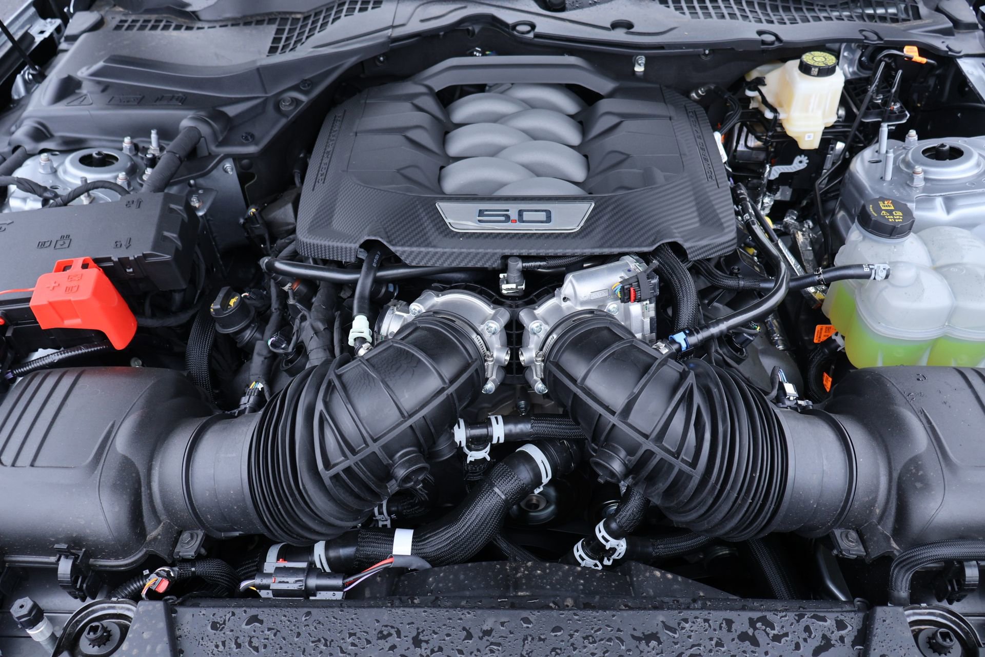 New 2026 Ford Mustang GT RWD image 17