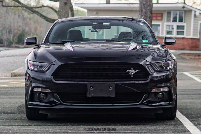 Used 2017 Ford Mustang GT Premium image 13