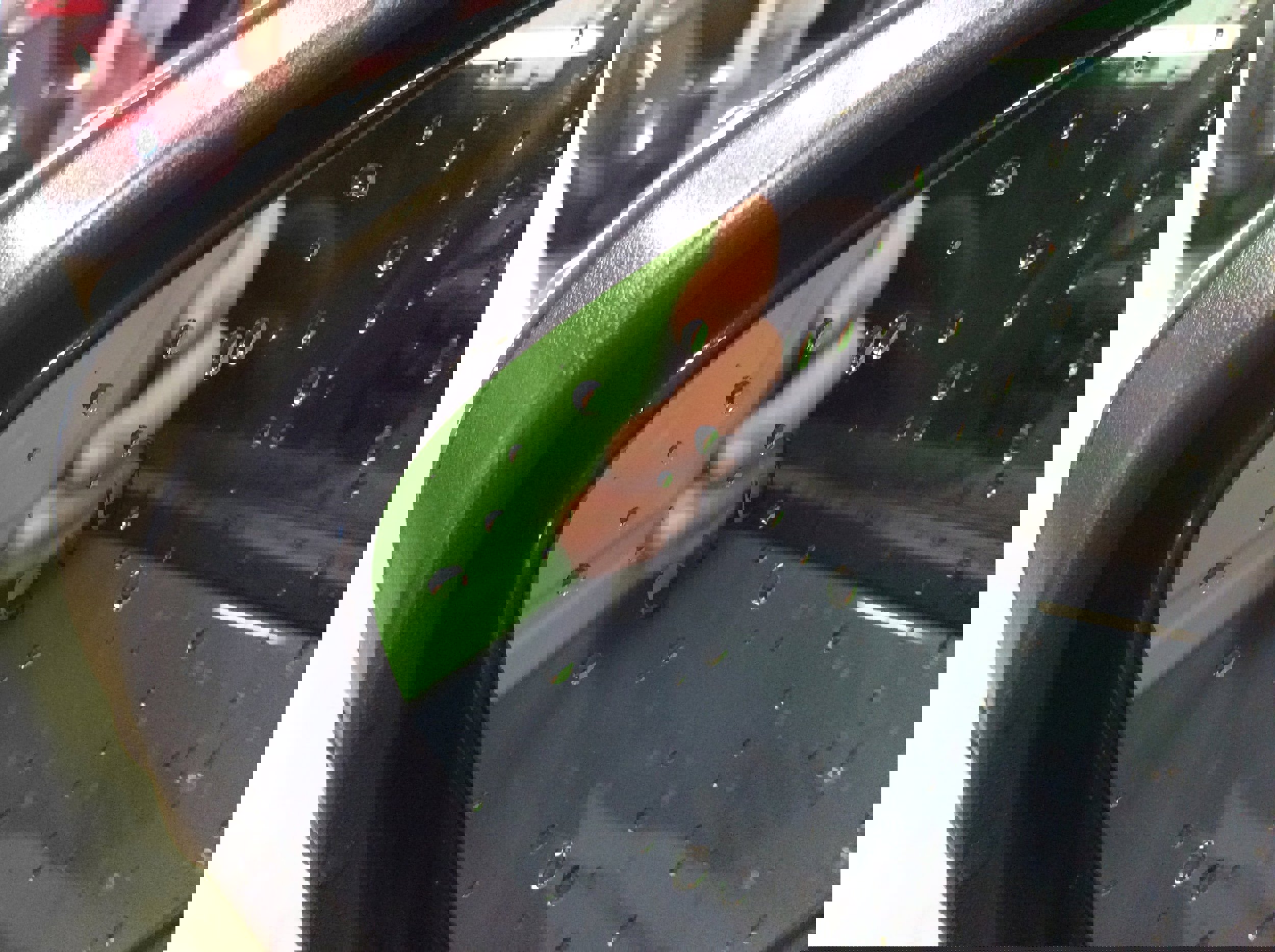 Used 2023 Ford Escape Active w/ Tech Pack #2 image 12