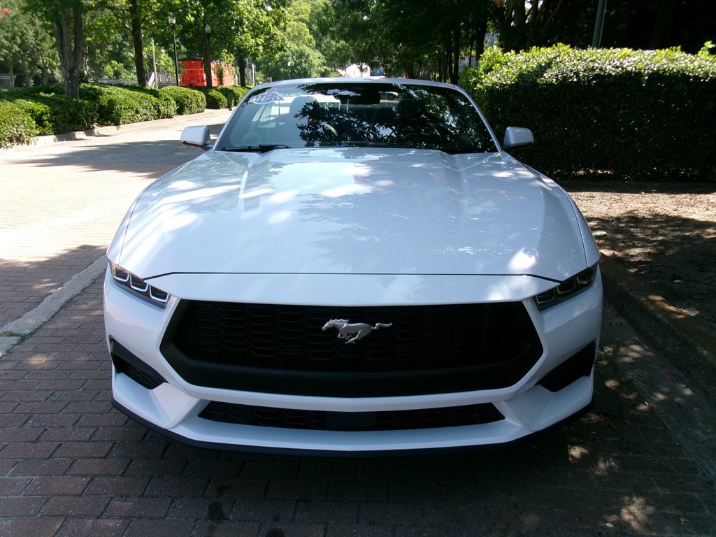 Used 2025 Ford Mustang Premium RWD image 3