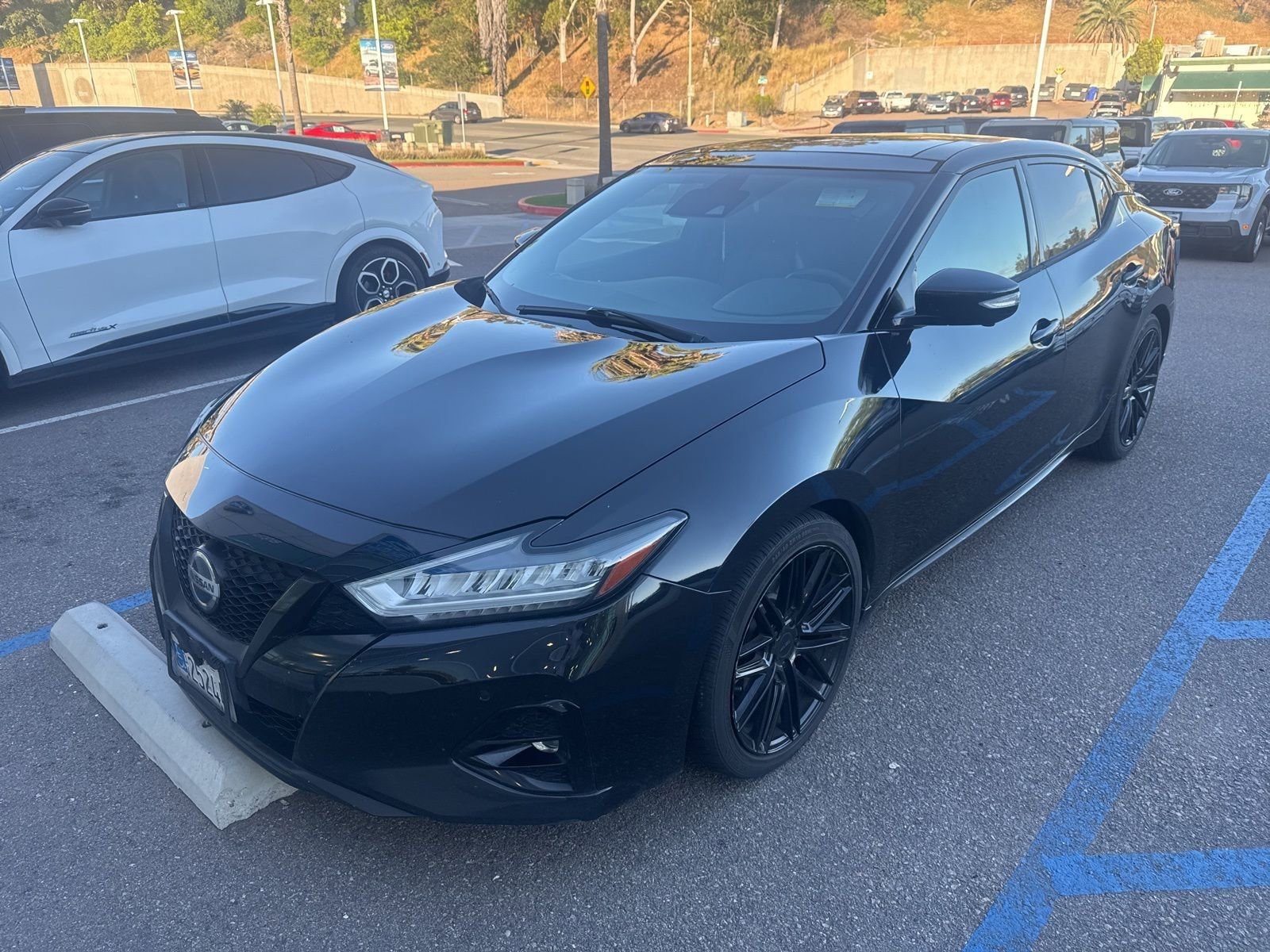 Used 2019 Nissan Maxima SR w/ Premium Package image 3