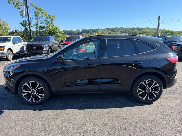 Used 2022 Ford Escape SEL w/ SEL Stealth AWD Package image 2