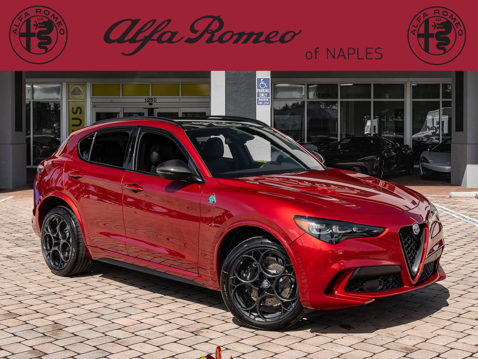 New 2024 Alfa Romeo Stelvio Quadrifoglio video 1