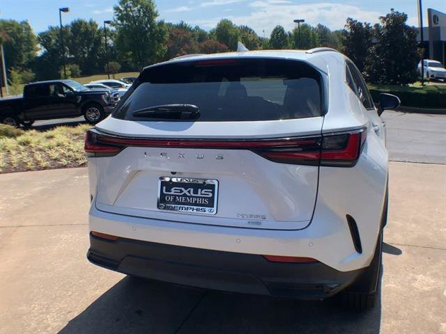 Used 2023 Lexus NX 350 AWD w/ Luxury Package image 7