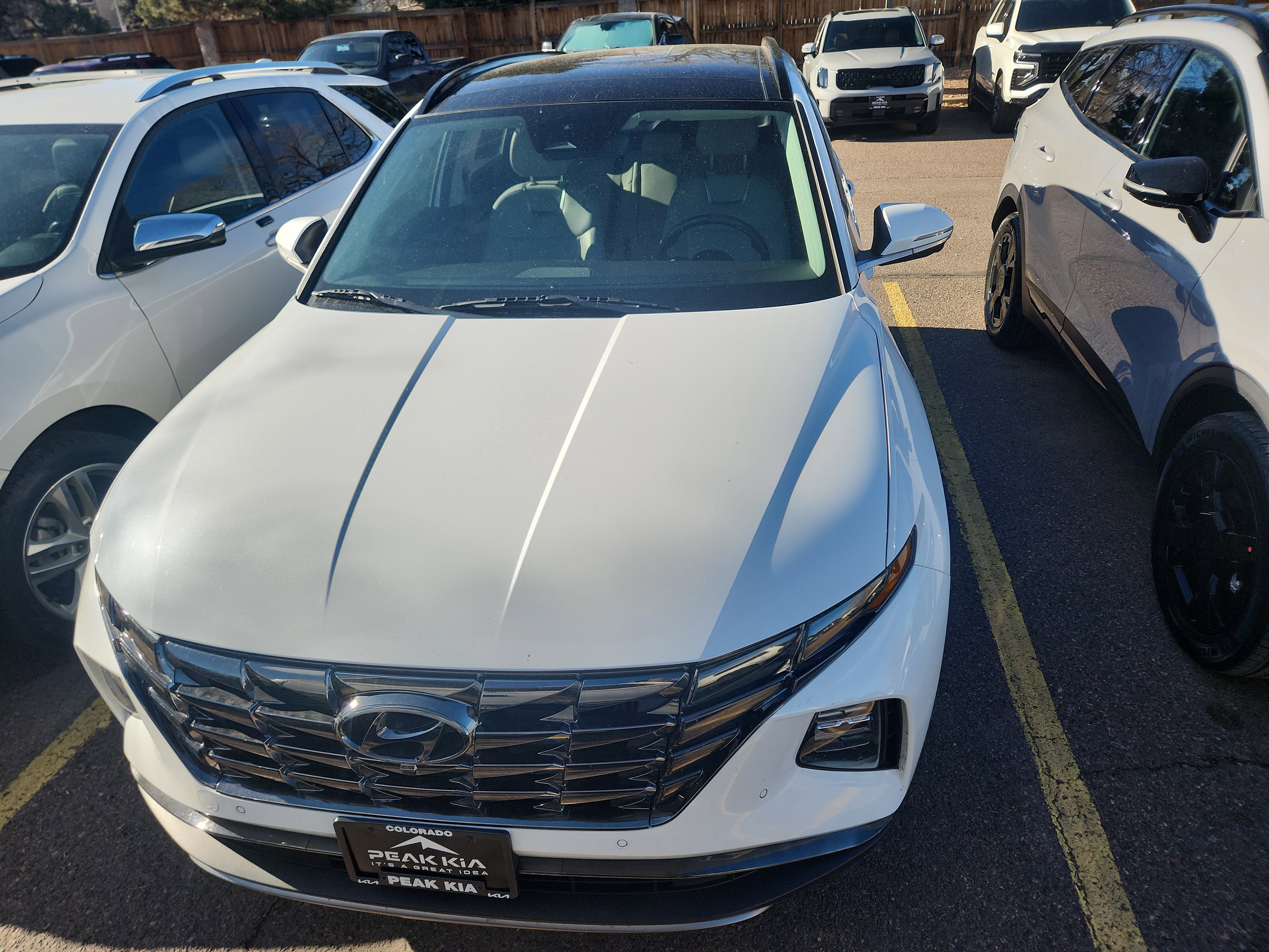 Used 2024 Hyundai Tucson Limited image 3