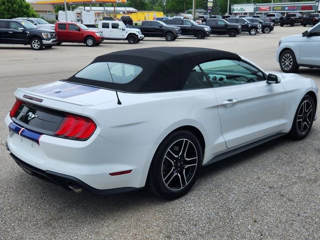 Used 2022 Ford Mustang Premium RWD image 6