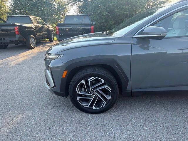 Used 2025 Hyundai Tucson Limited AWD/4WD image 9