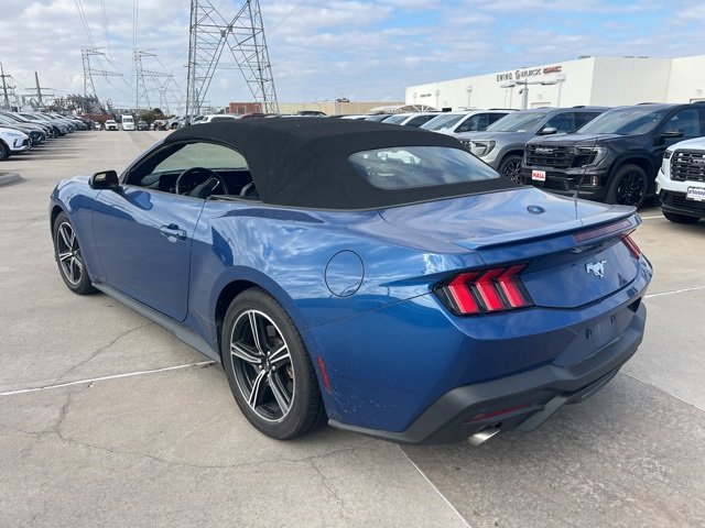 Used 2024 Ford Mustang Premium image 5