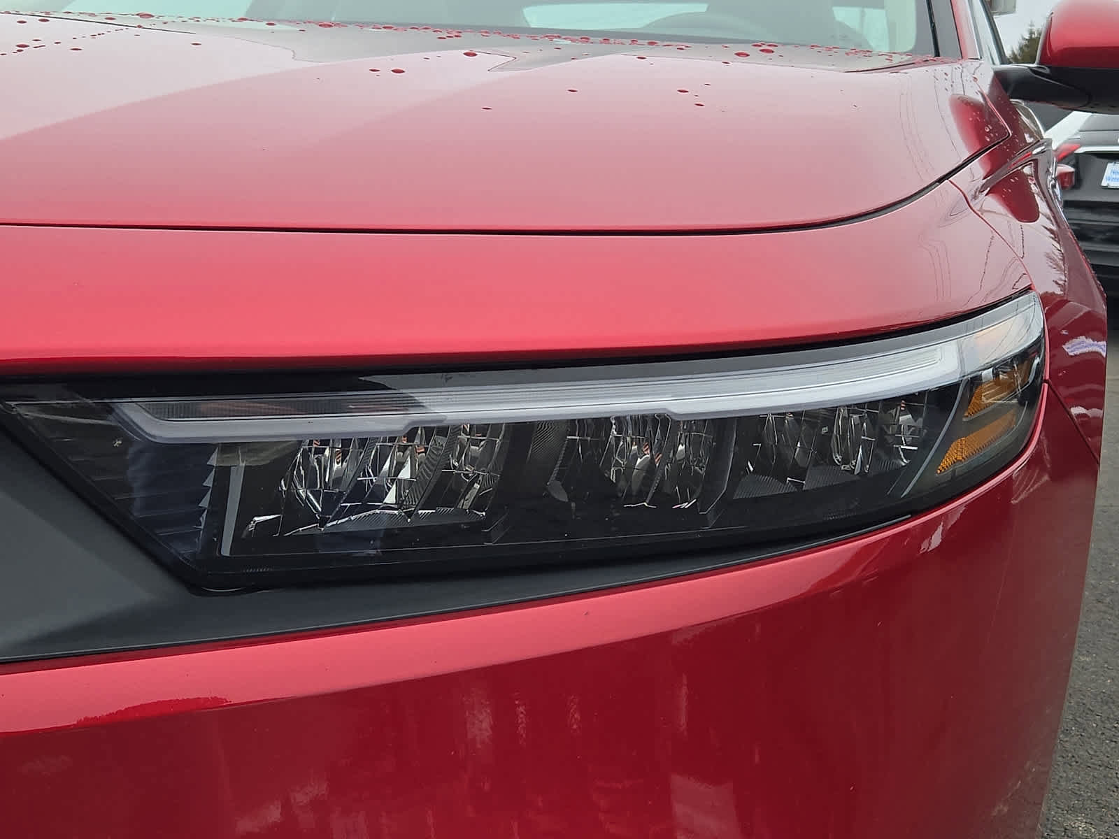 Used 2024 Honda Accord EX image 10