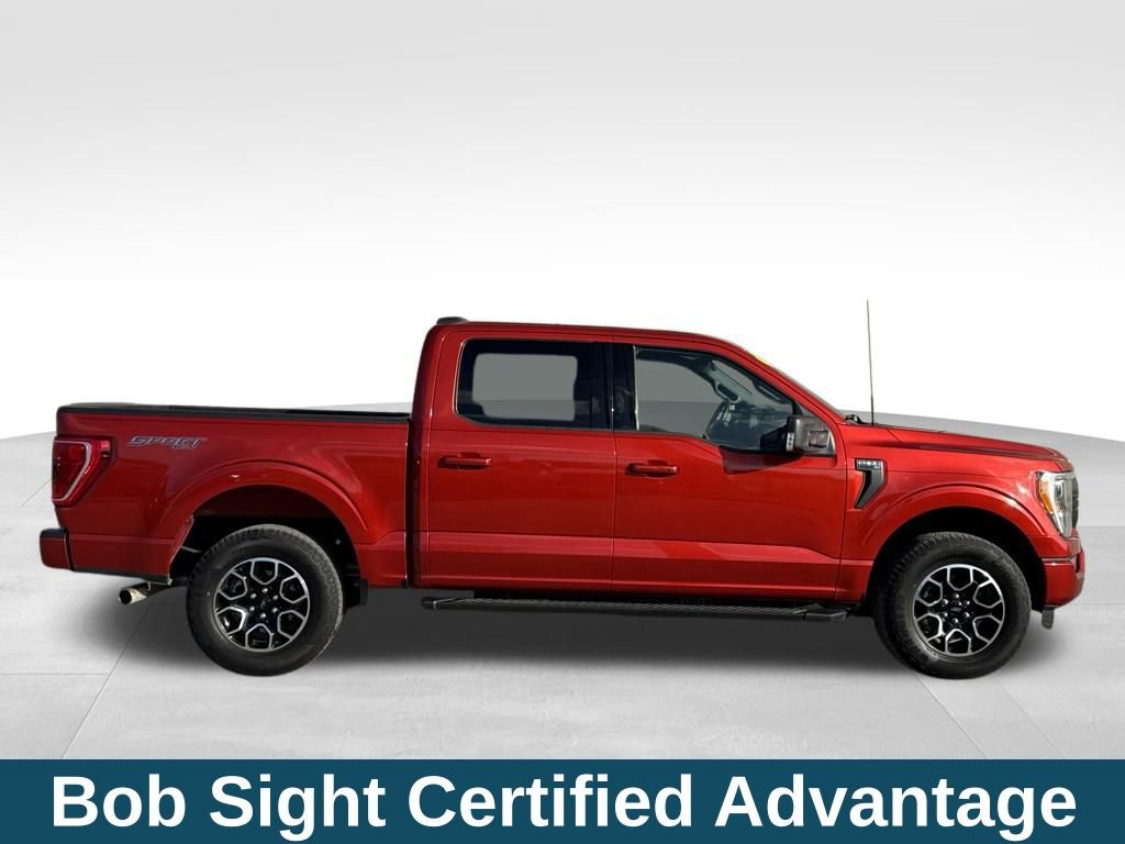 Used 2023 Ford F150 XLT w/ Equipment Group 302A High image 3