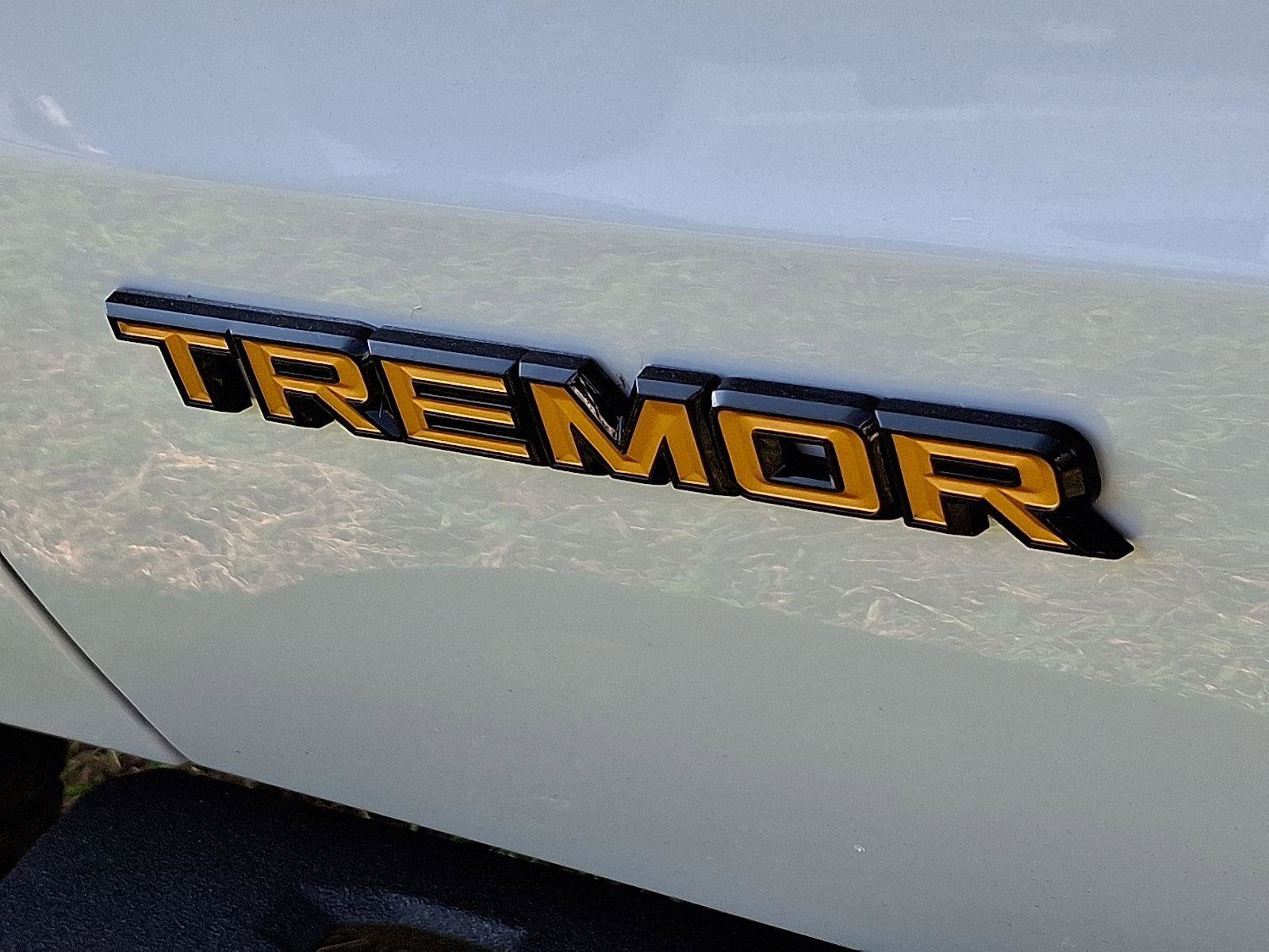 New 2025 Ford Expedition Tremor image 19