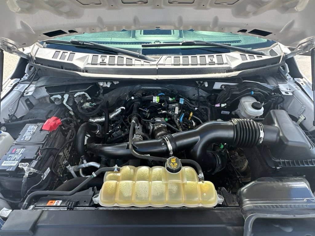 Used 2019 Ford F150 XL w/ Equipment Group 101A Mid AWD/4WD image 31
