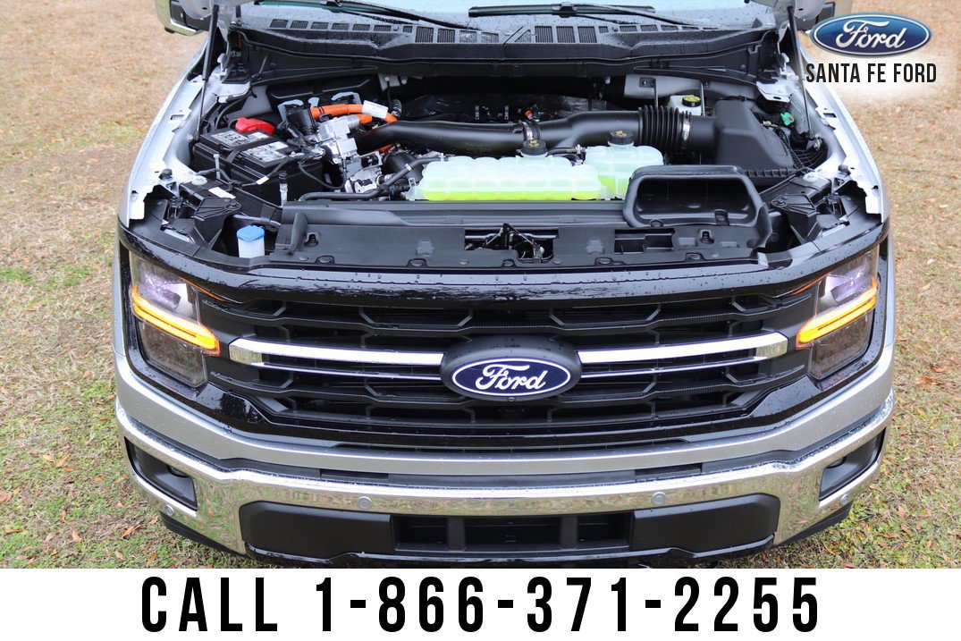 New 2025 Ford F150 XLT w/ Equipment Group 303A High image 19