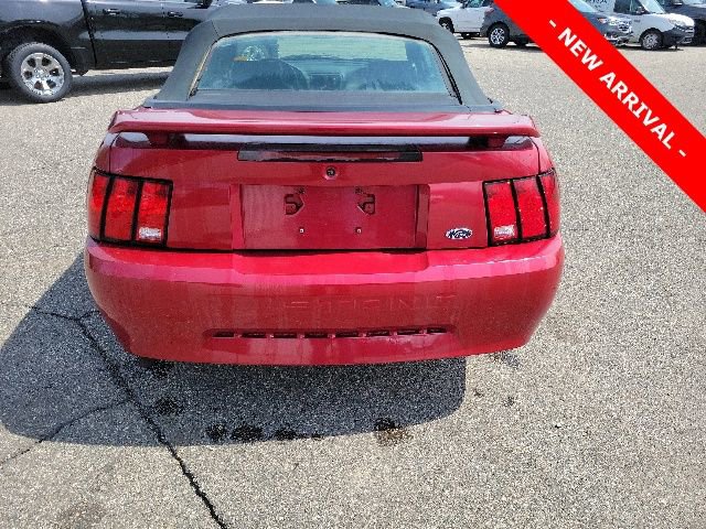 Used 2002 Ford Mustang Convertible RWD image 4