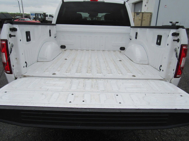 Used 2020 Ford F150 XLT w/ Equipment Group 301A Mid AWD/4WD image 18