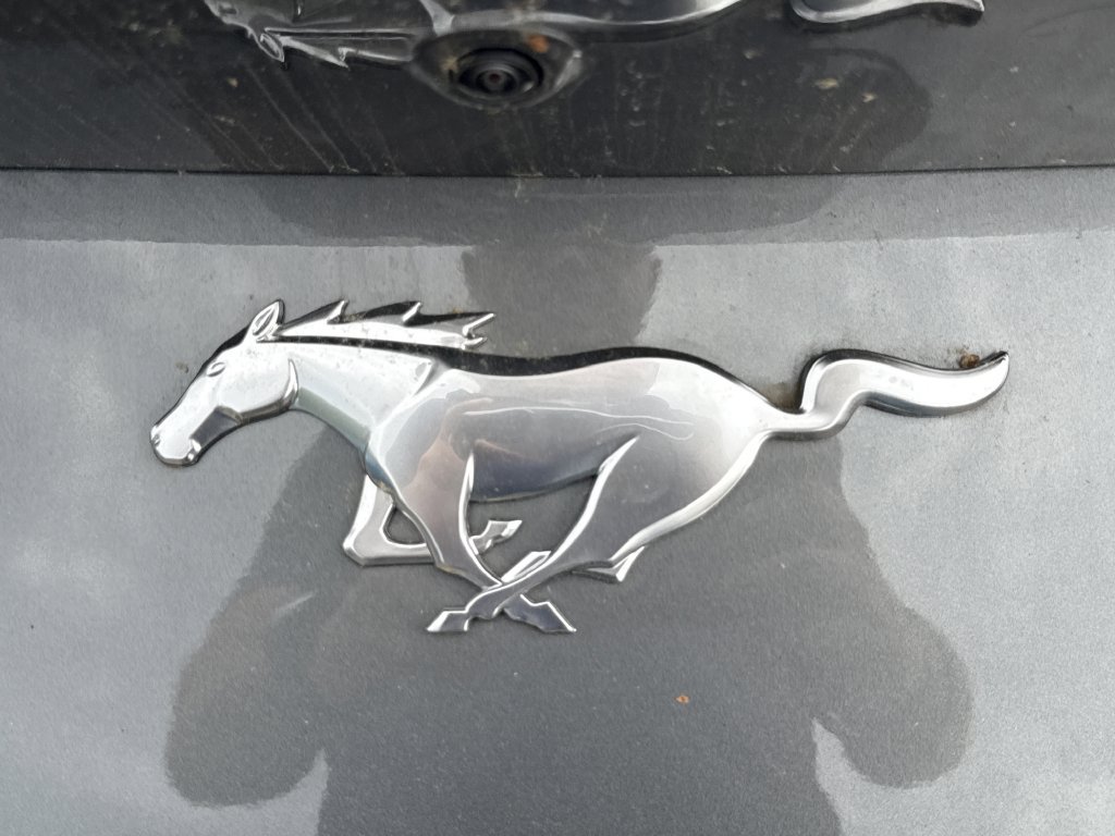 New 2026 Ford Mustang Coupe RWD image 24