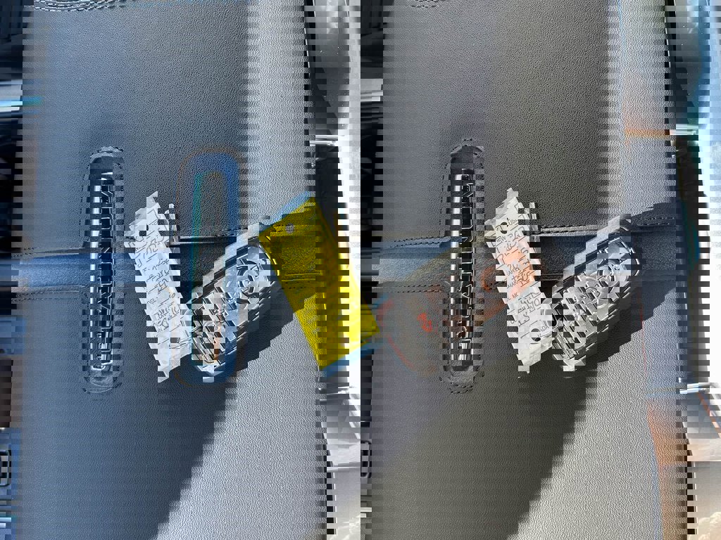 New 2025 Ford F150 Platinum w/ FX4 Off-Road Package image 35