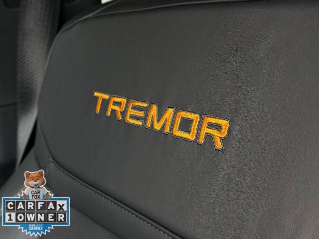 Certified 2025 Ford Expedition Tremor AWD/4WD image 18