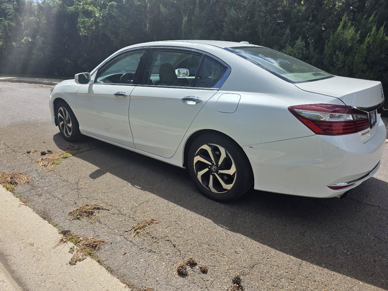Used 2017 Honda Accord EX-L image 3