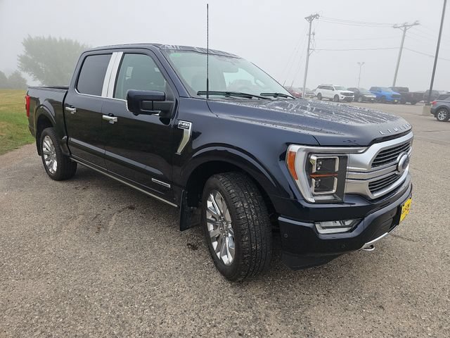 Used 2023 Ford F150 Limited AWD/4WD image 7
