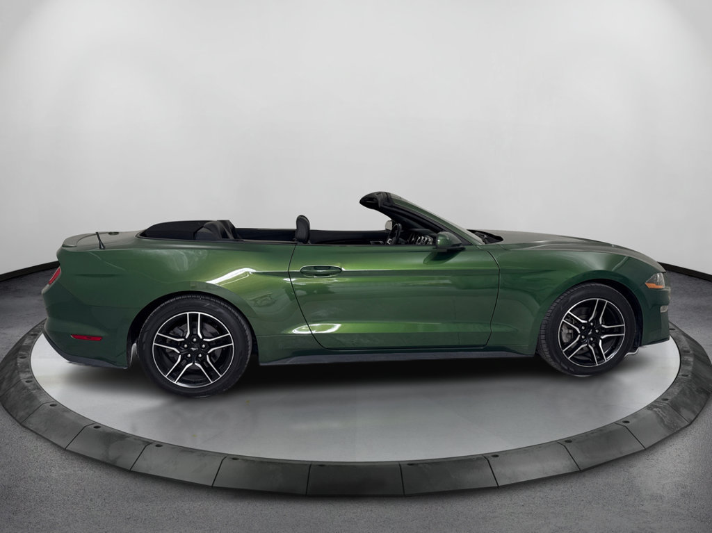 Used 2023 Ford Mustang Premium RWD image 4
