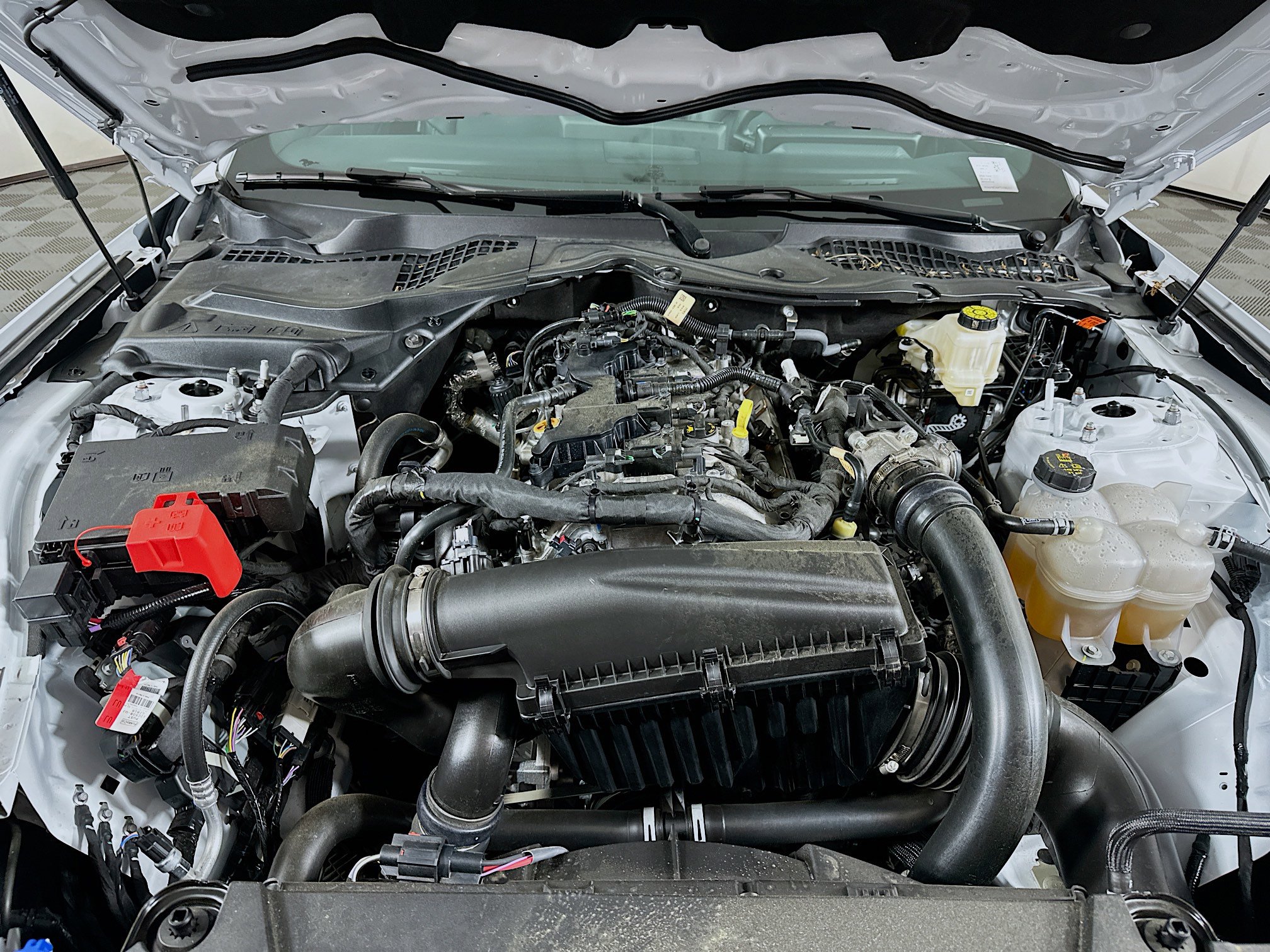 Used 2026 Ford Mustang Premium RWD image 29
