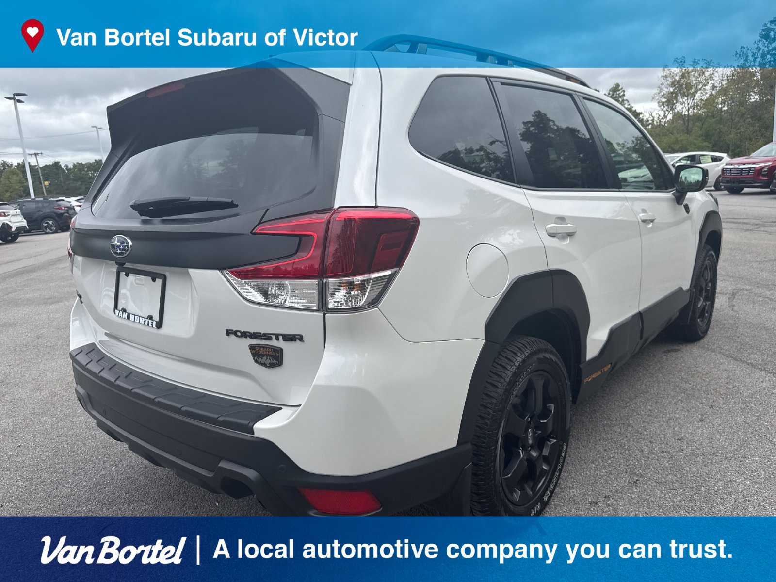 Certified 2024 Subaru Forester Wilderness AWD/4WD image 6