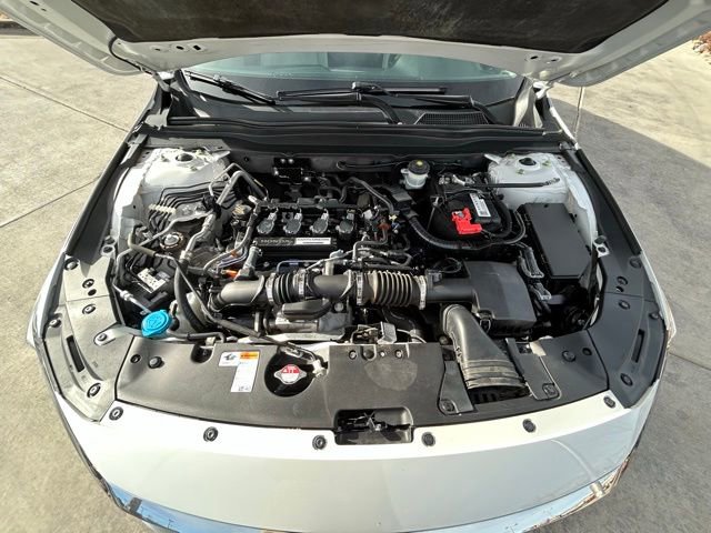 Used 2019 Honda Accord EX-L image 30