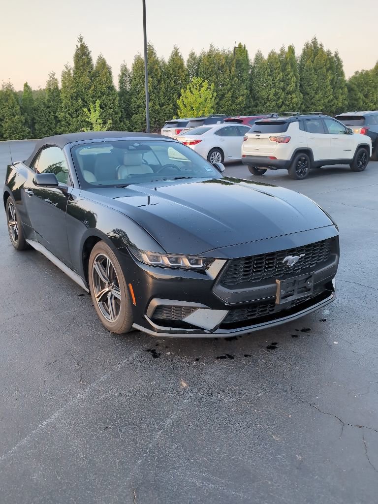 Used 2024 Ford Mustang Premium RWD image 7