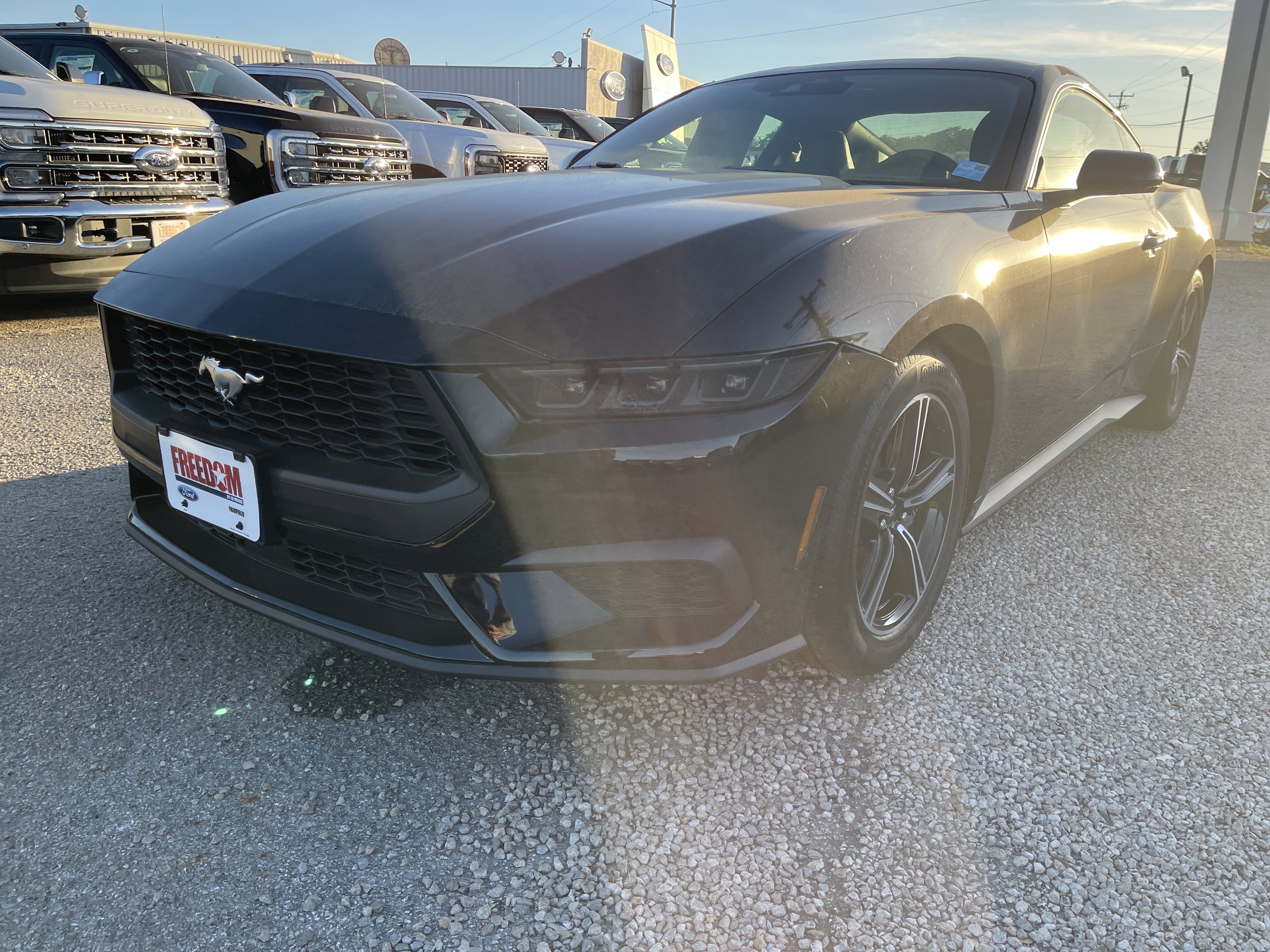 New 2025 Ford Mustang Coupe image 8
