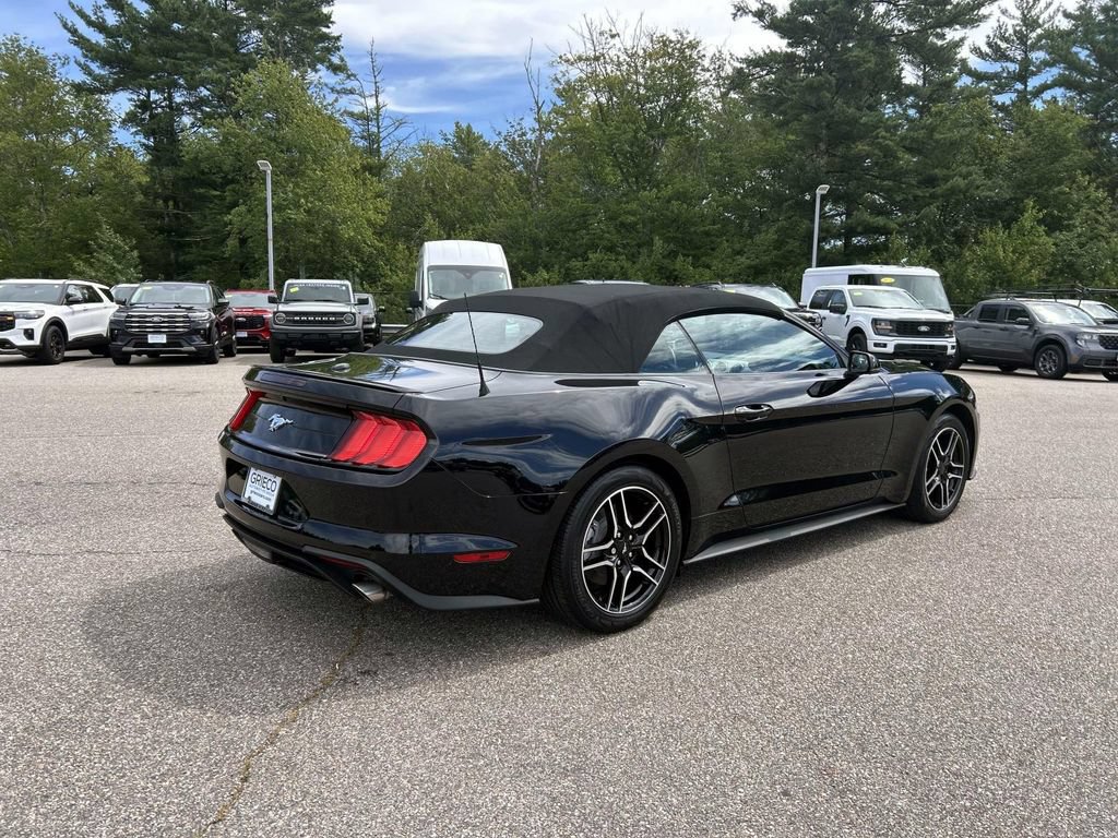 Used 2023 Ford Mustang Premium w/ Equipment Group 201A RWD image 3