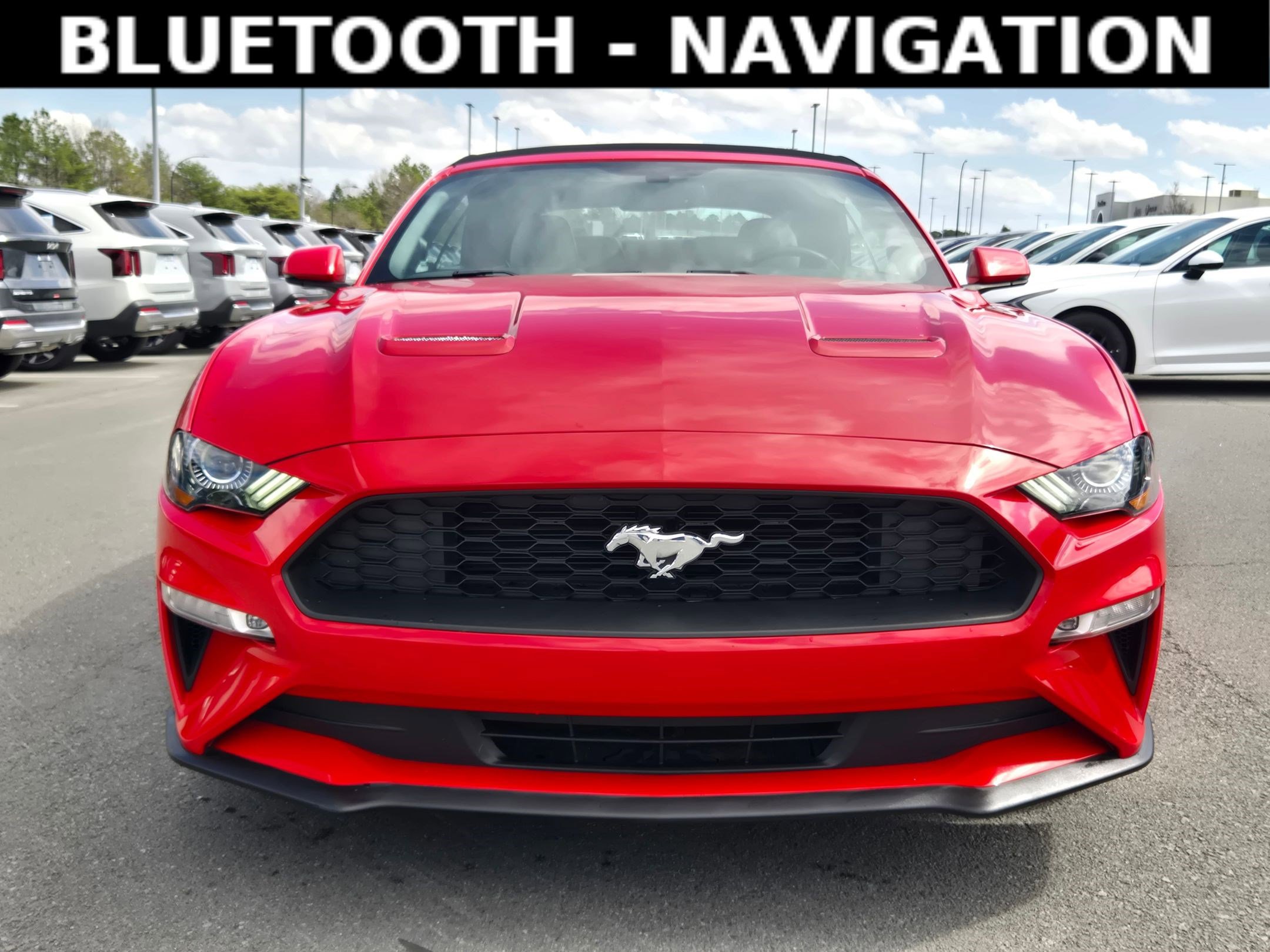 Used 2019 Ford Mustang Premium image 2