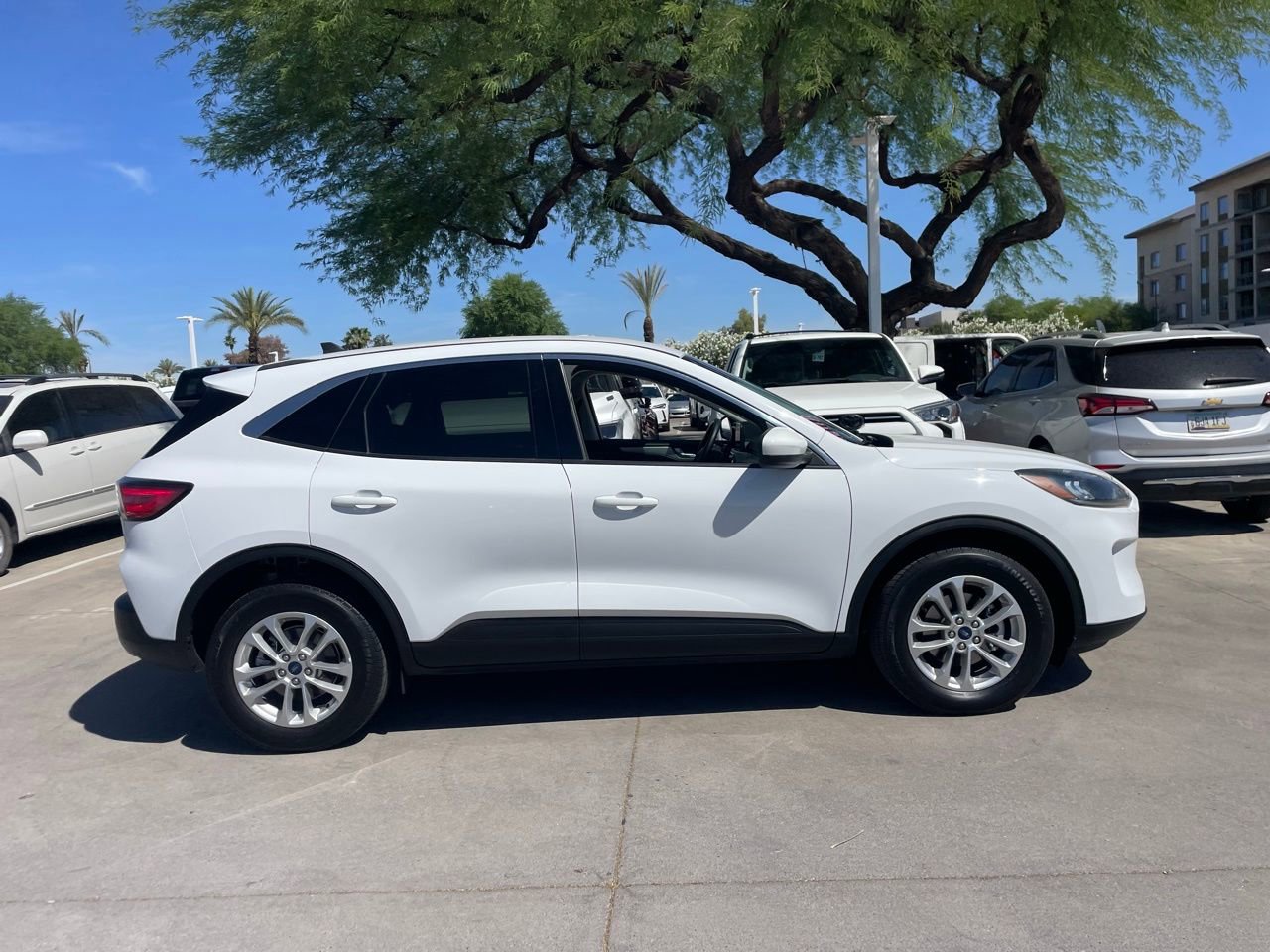Used 2021 Ford Escape SE image 2