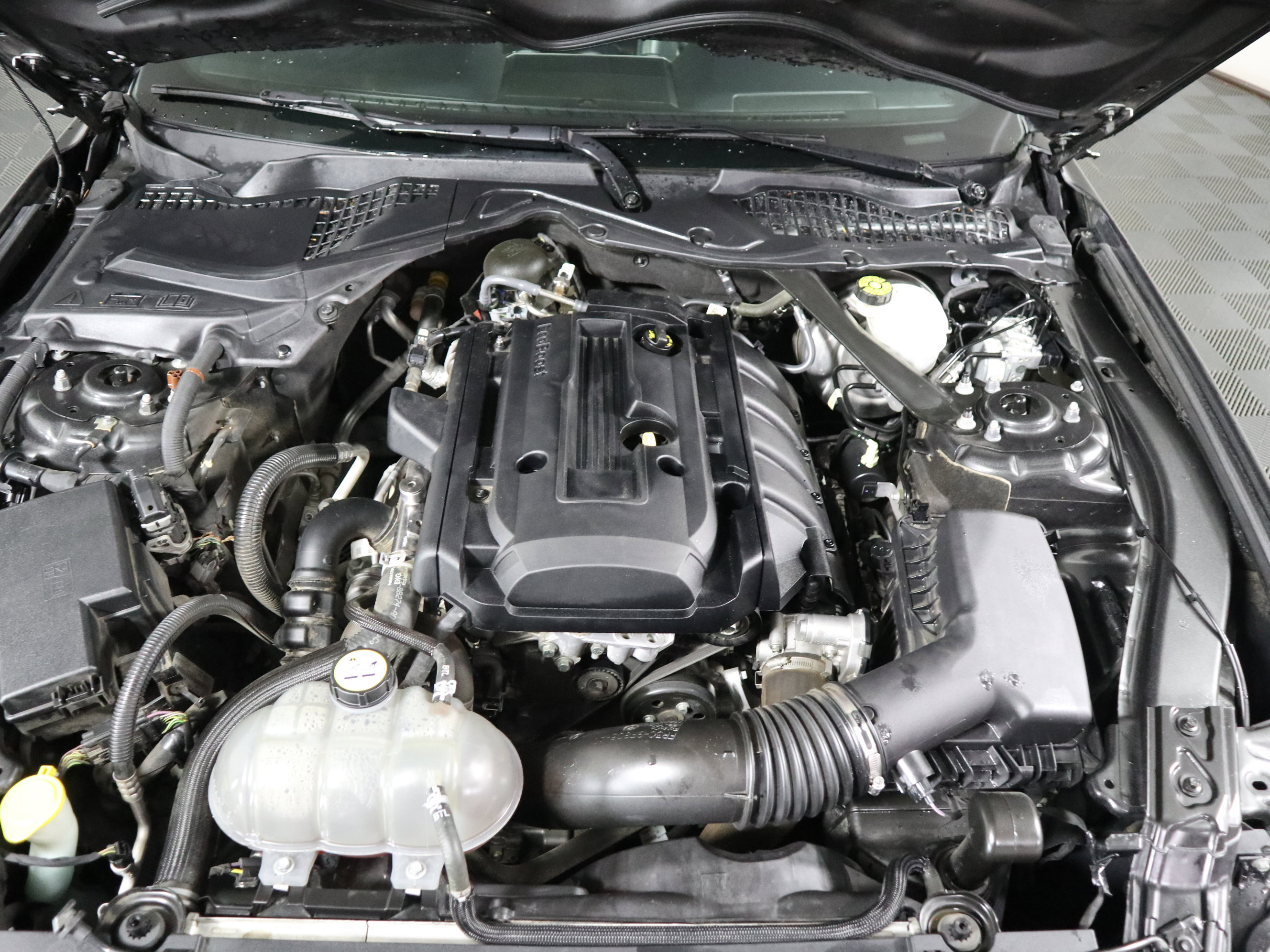 Used 2019 Ford Mustang Premium image 13