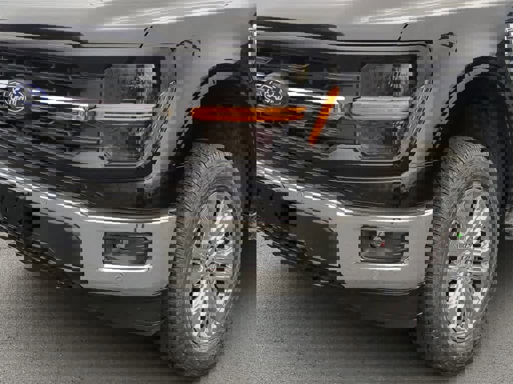 New 2025 Ford F150 XLT w/ Equipment Group 303A High image 11