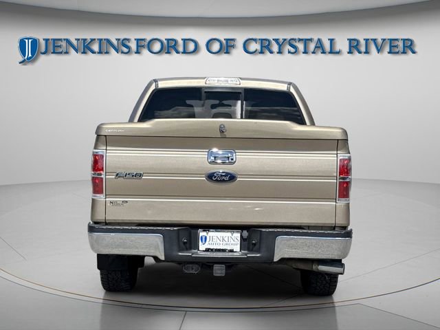 Used 2014 Ford F150 XLT w/ XLT Chrome Package RWD image 11
