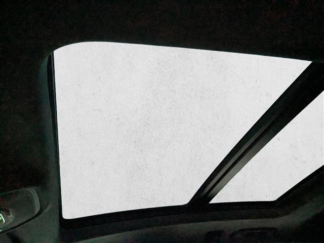 New 2026 Audi RS Q8 performance image 5