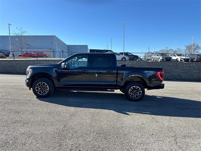 Used 2022 Ford F150 XLT w/ Equipment Group 302A High image 8