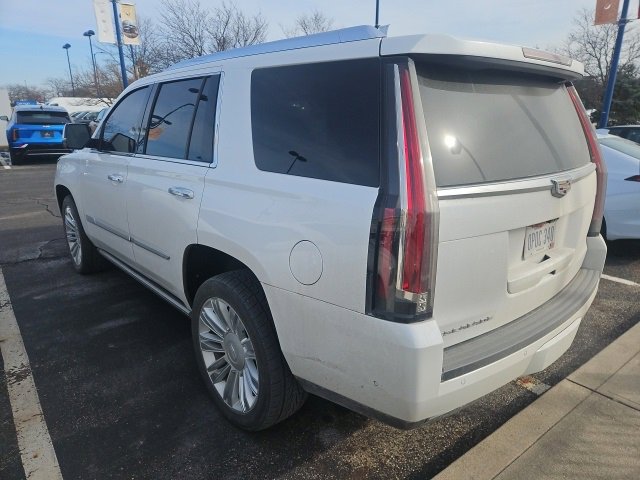 Used 2019 Cadillac Escalade Platinum image 6