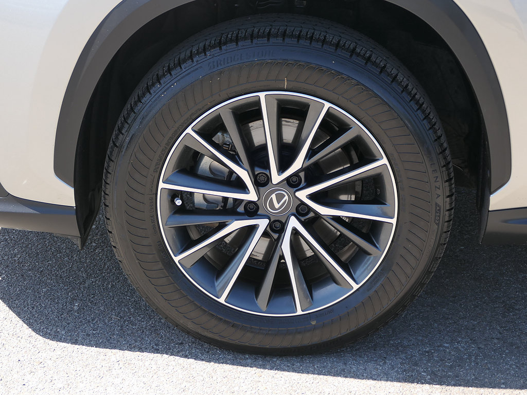 Used 2024 Lexus NX 250 FWD w/ Cold Area Package image 8