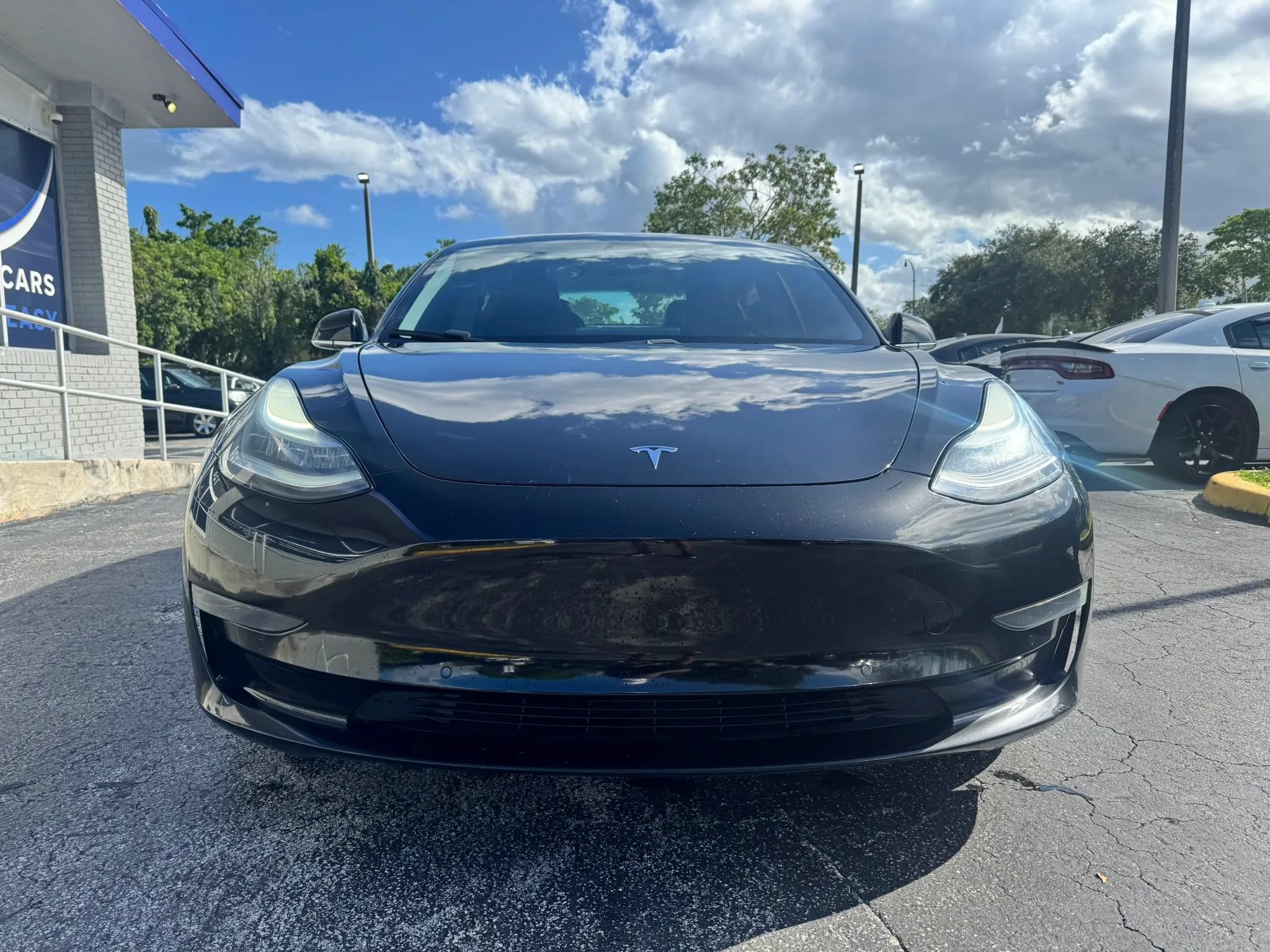 Used 2020 Tesla Model 3 Standard Range RWD image 4