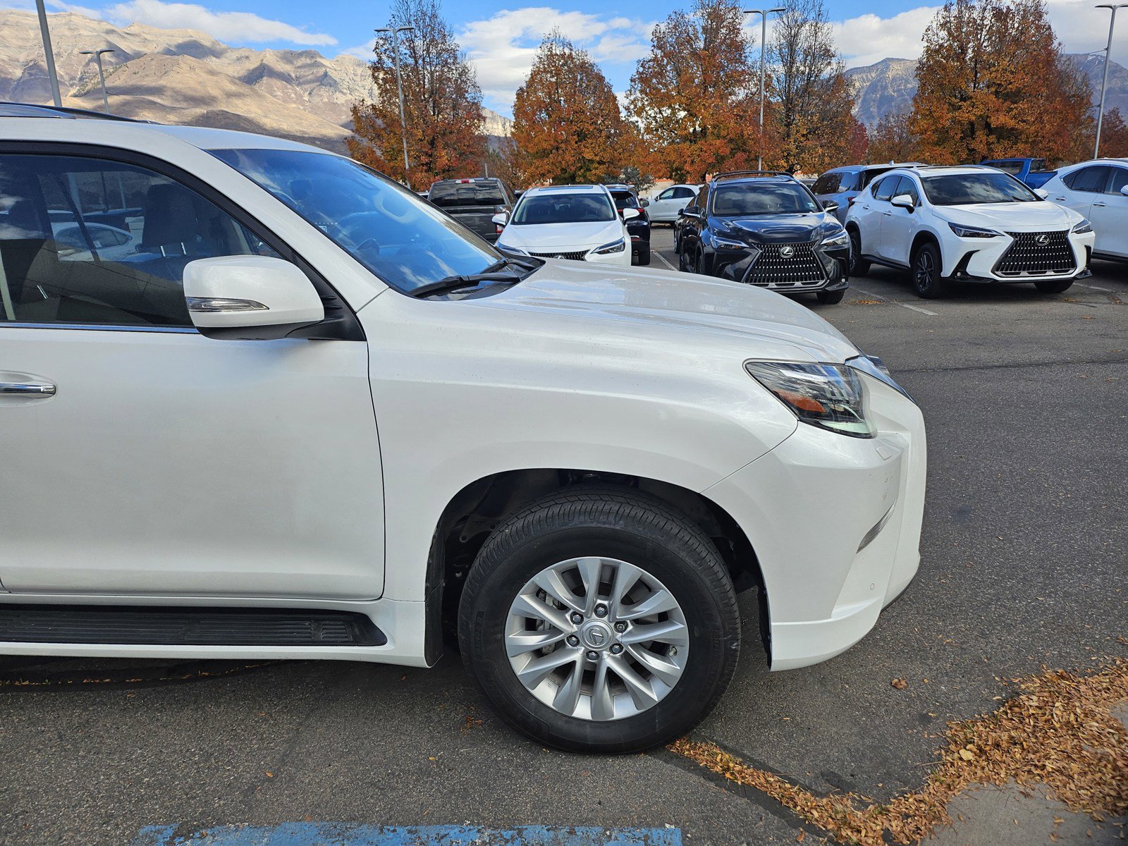 Used 2023 Lexus GX 460 Premium image 10