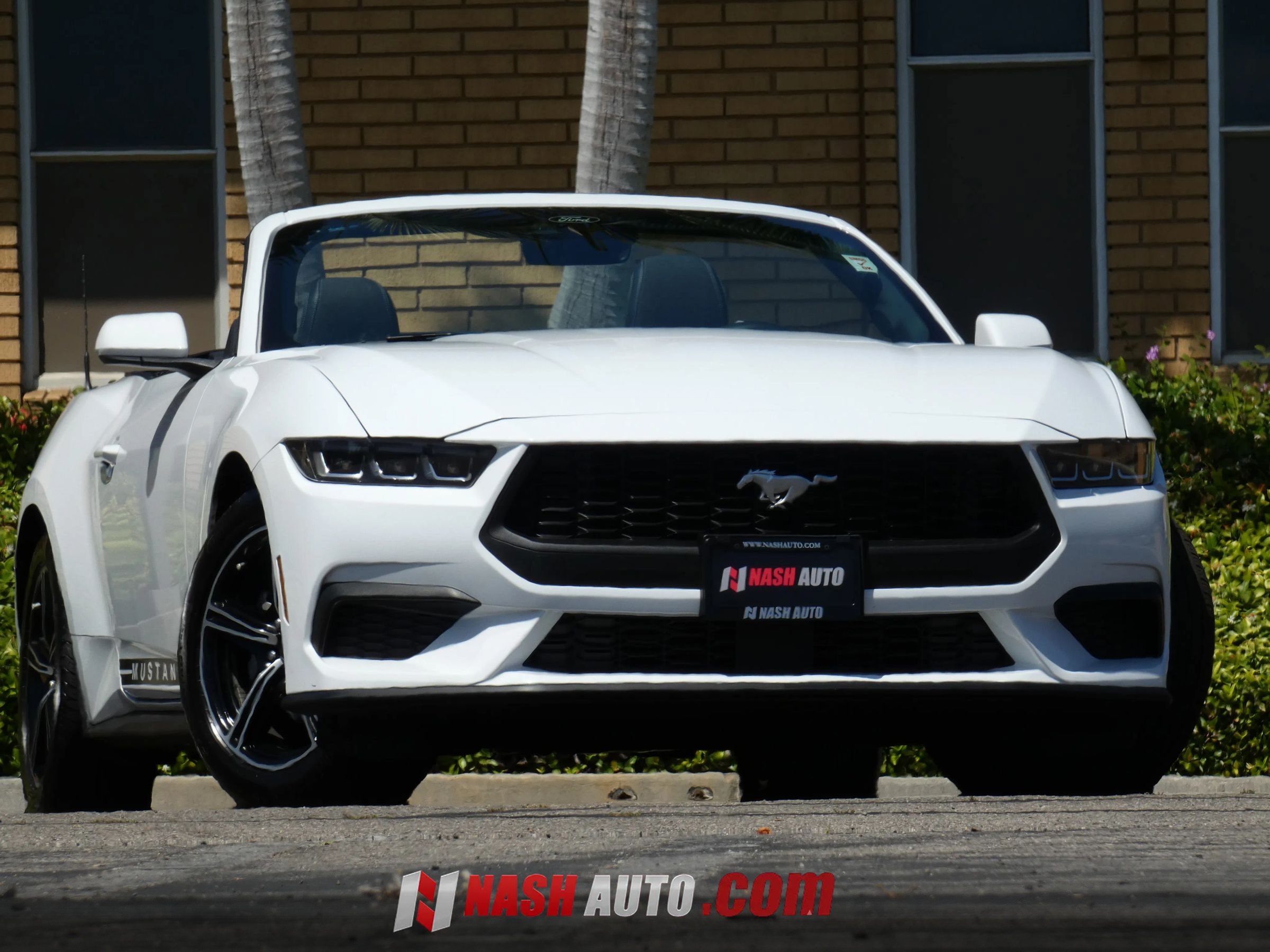 Used 2024 Ford Mustang Convertible RWD image 5